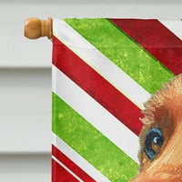 Каролини Богатства LH9590CHF Ирски Сетер Бонбони Трска Празник Божиќ Знаме Платно Куќа Големина, Куќа Големина, разнобојни
