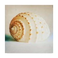 Трговска марка ликовна уметност „Античка школка“ платно уметност од Том Квартемајн