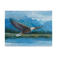 Трговска марка ликовна уметност „орел искачувачка фотографија“ платно уметност од Тим Отоле