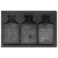 Шишиња со платно од Wynwood Studio Drinks and Spirits Wall Art Canvas Print Grey Dark Gry 24x16