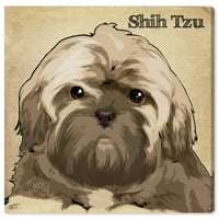 Wynwood Studio Animals Wall Art Canvas Prints 'Shitzu' кучиња и кутриња - кафеава, кафеава