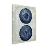 Трговска марка ликовна уметност „Индиго сино море ежови б“ платно уметност од фан фанки